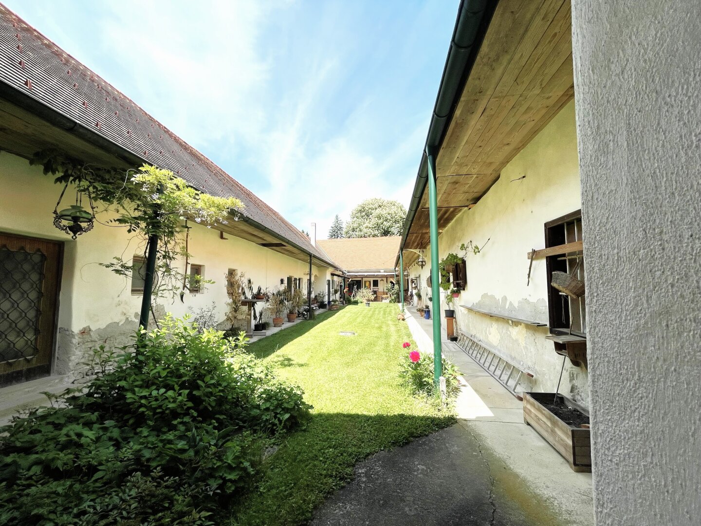 Immobilienfoto