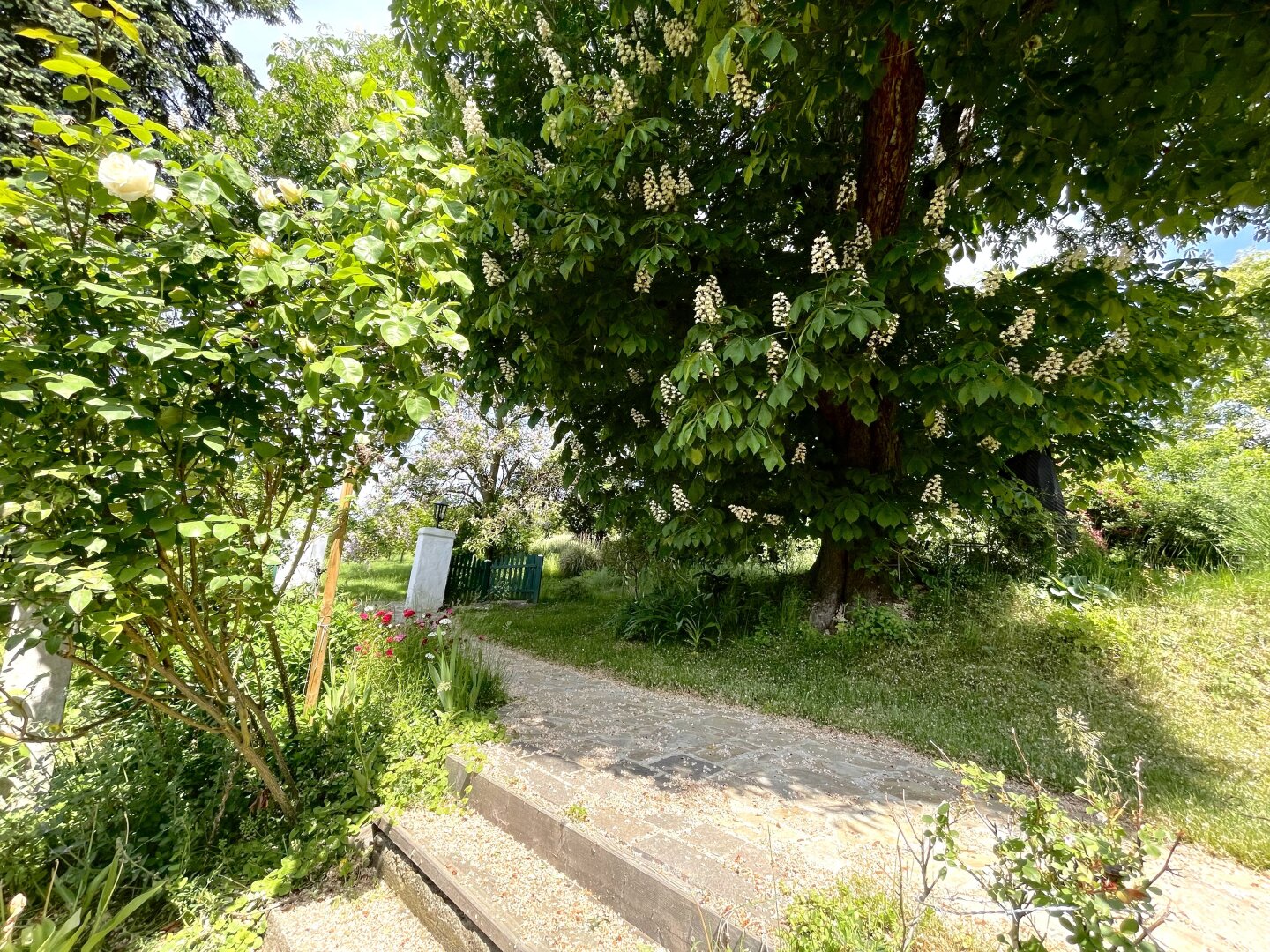 Immobilienfoto