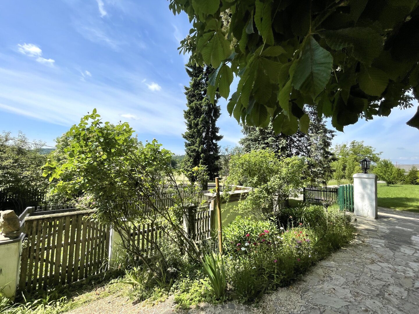 Immobilienfoto