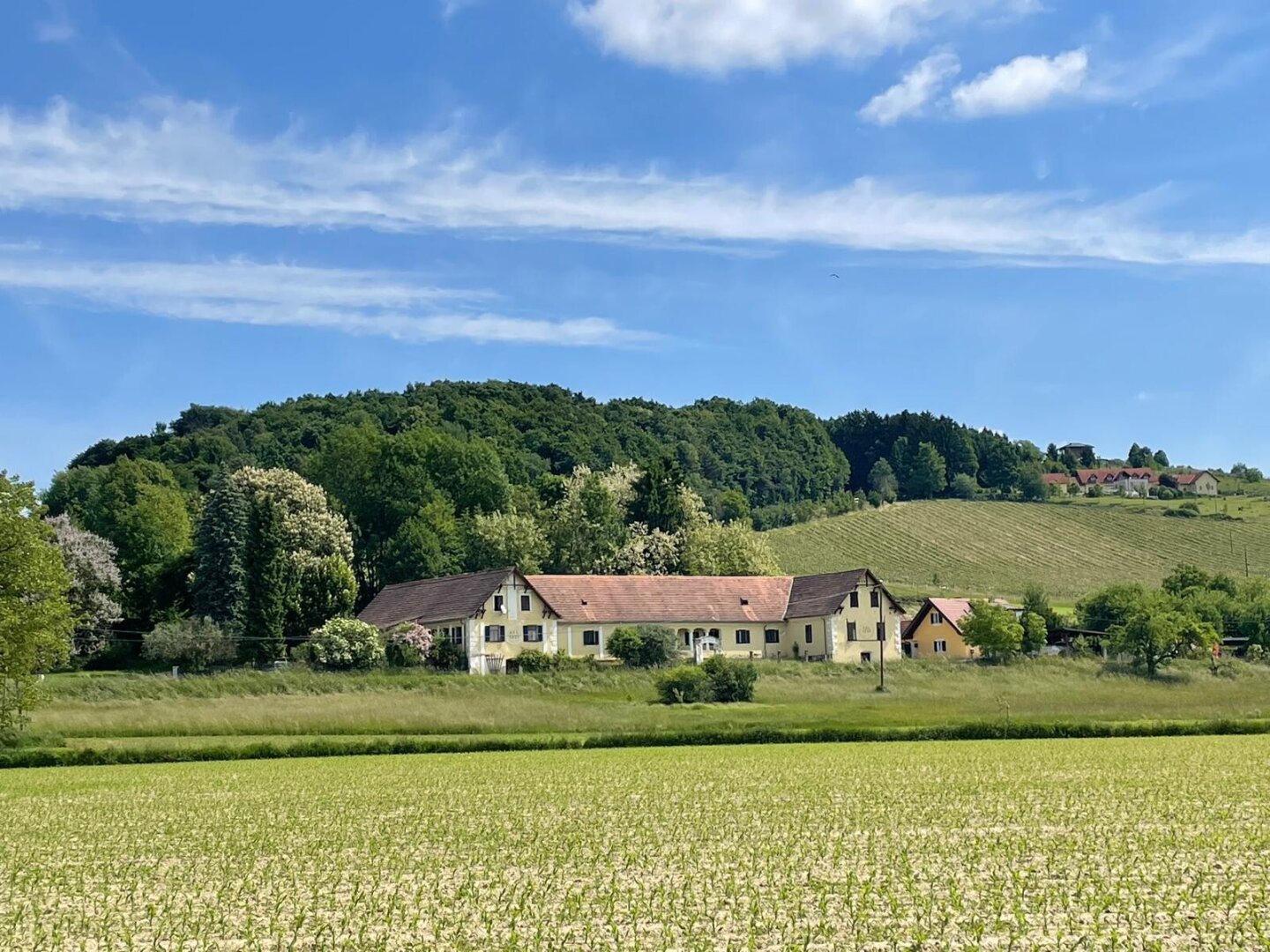 Traumhaftes Anwesen in herrlicher Aussichtslage – Ehemaliger Meierhof von 1901