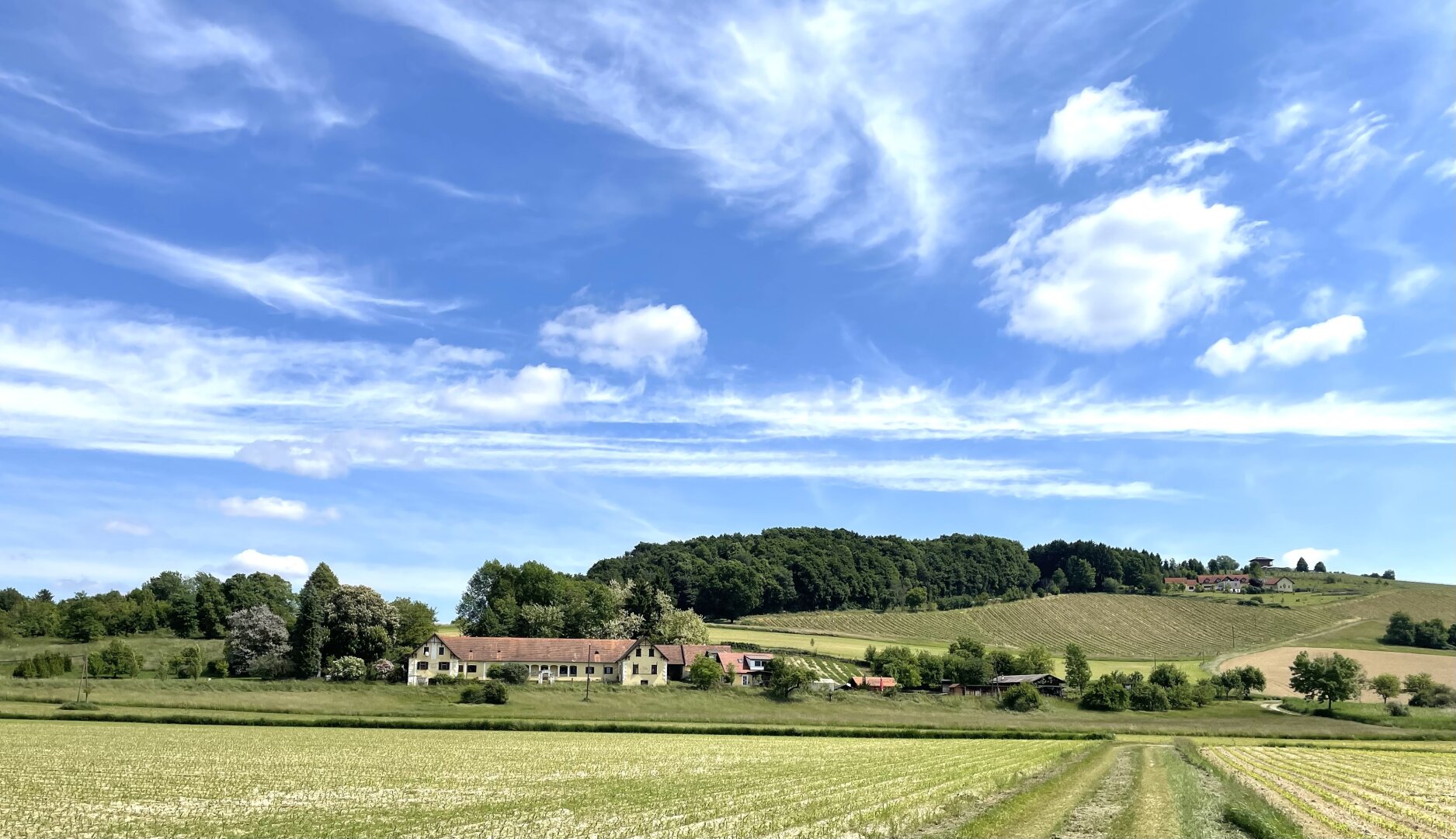 Immobilienfoto