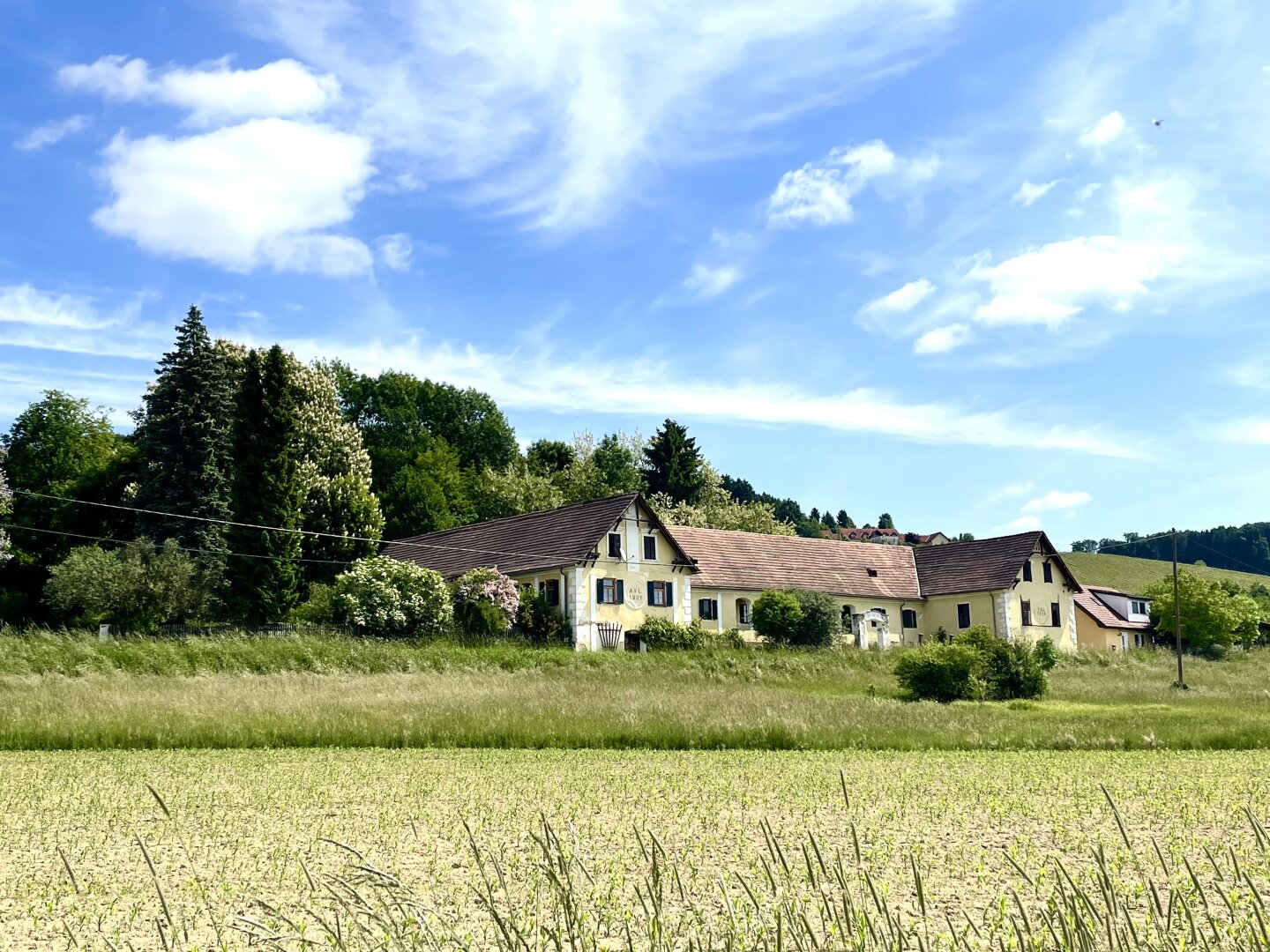 Immobilienfoto