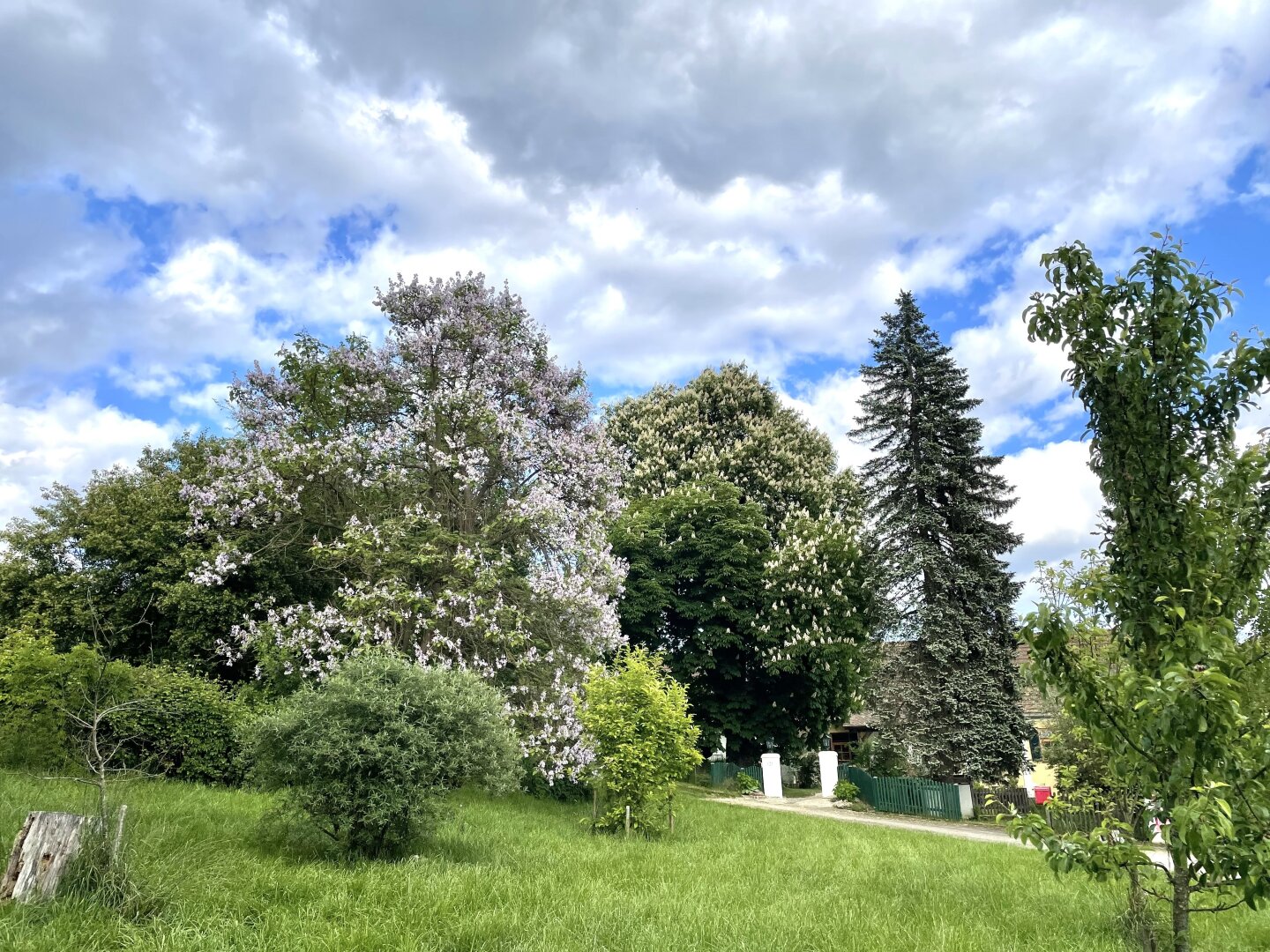 Immobilienfoto