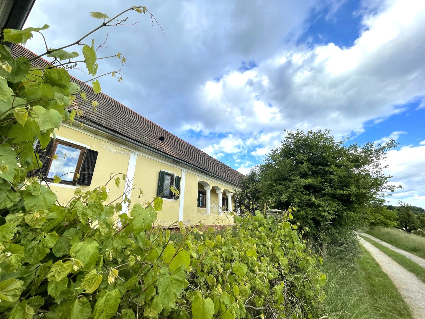 Immobilienfoto