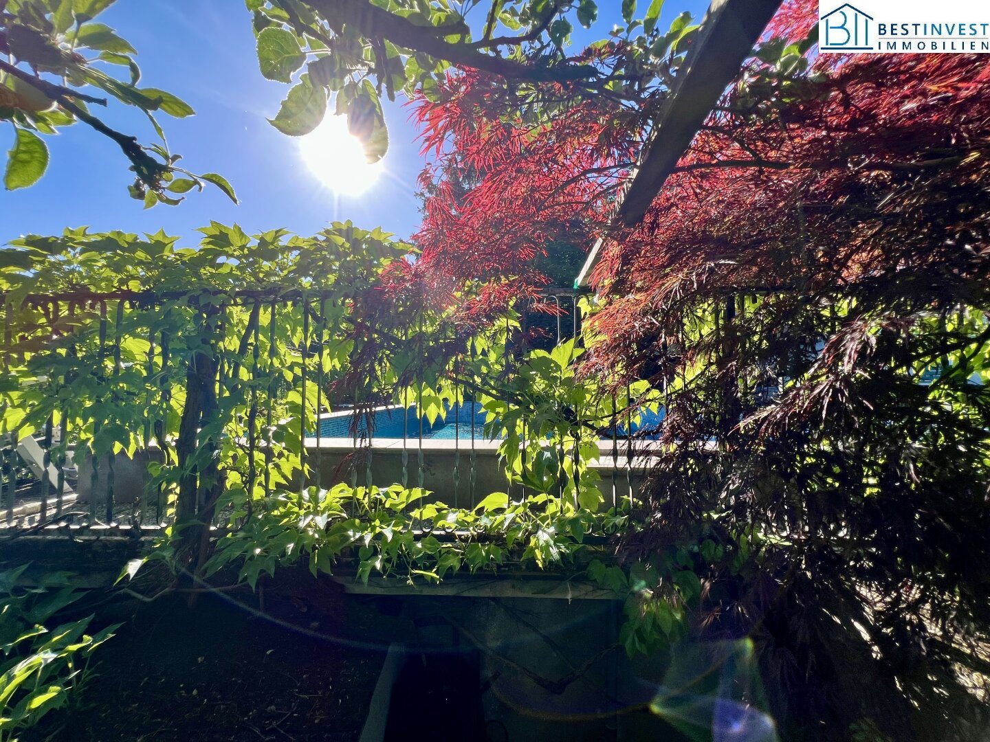 Immobilienfoto