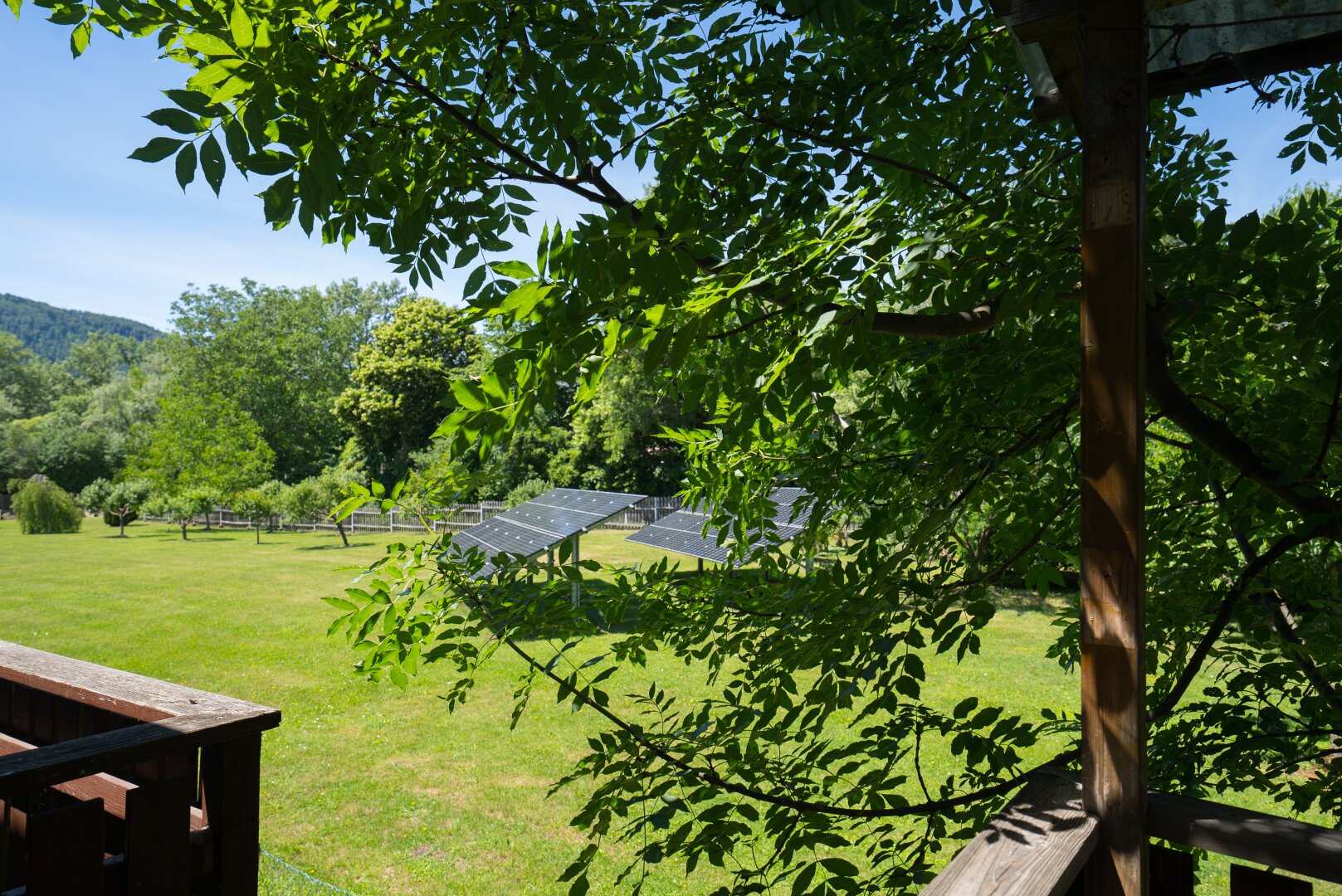 Immobilienfoto