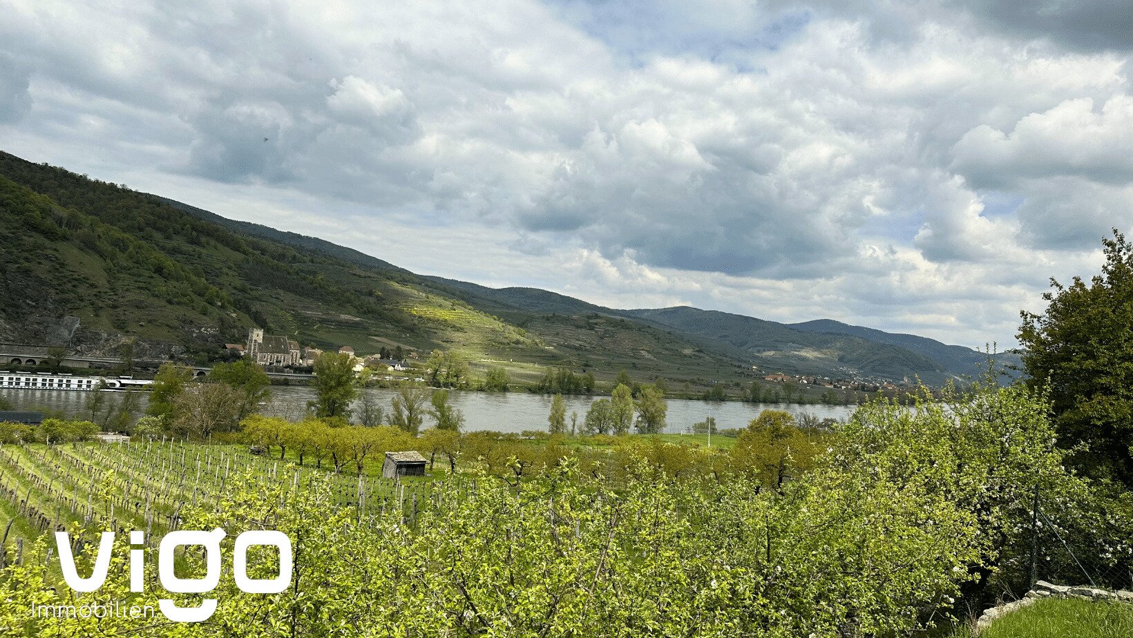 Direkt an der Donau und Mitten in den Weingärten!!!