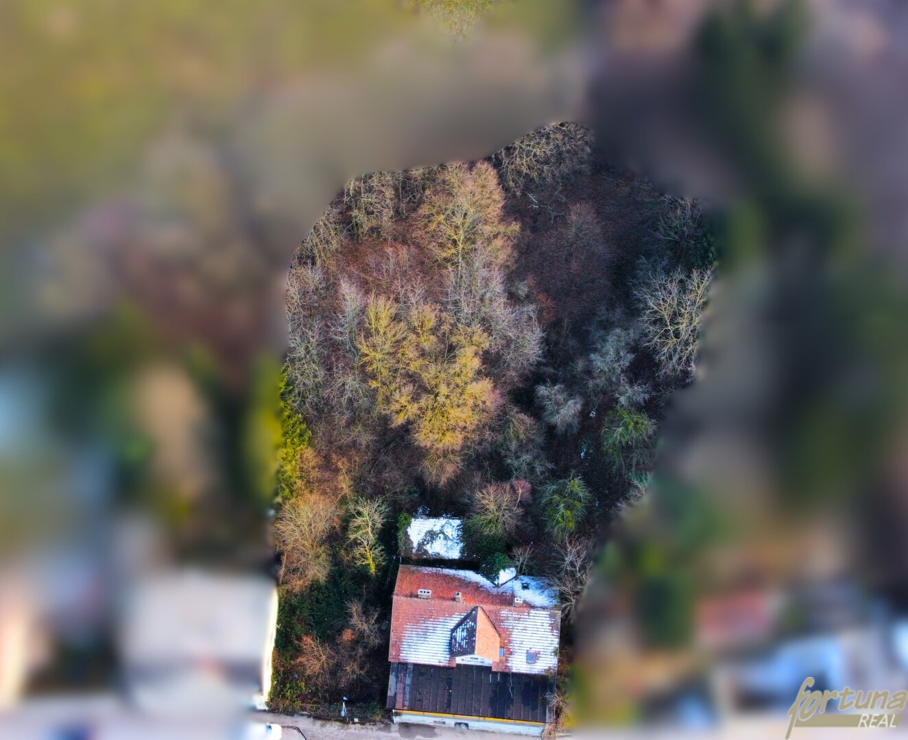 Immobilienfoto