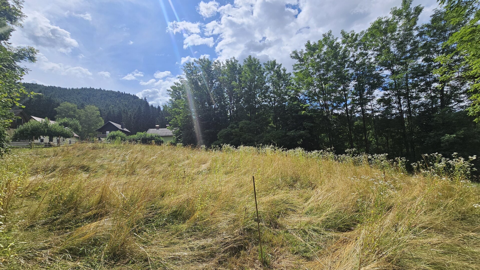 996 m² Baugrundstück in bester Lage von Pischeldorf/Poggersdorf!