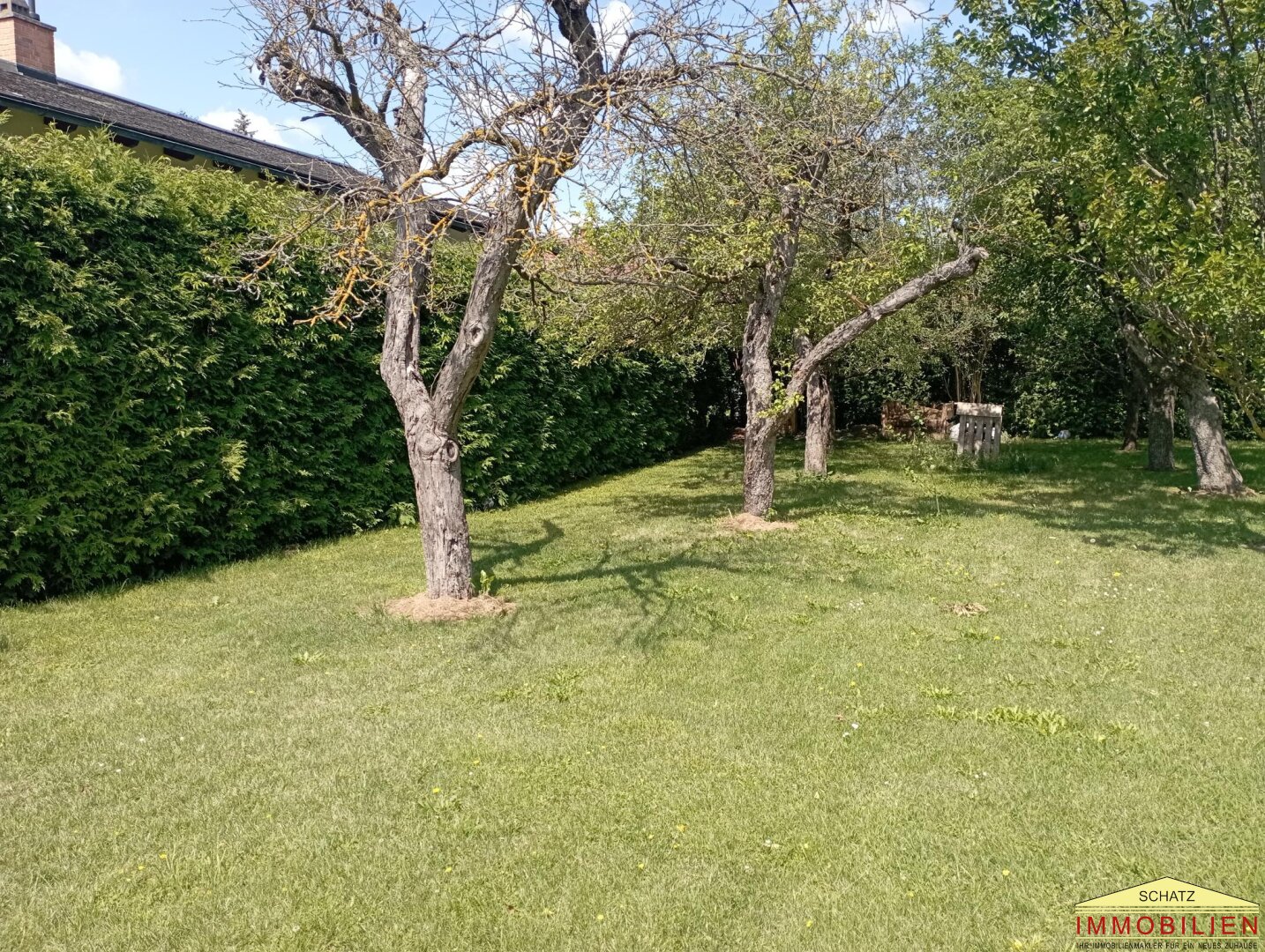 Immobilienfoto