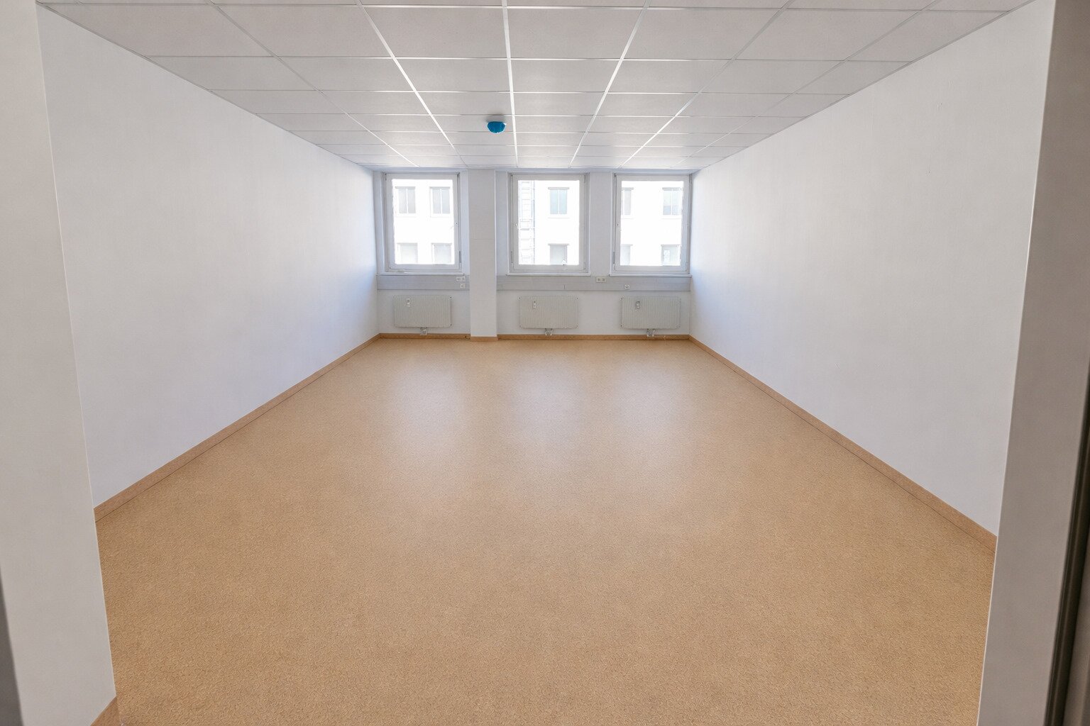 PROMENADE: Moderne 600 m² Bürofläche