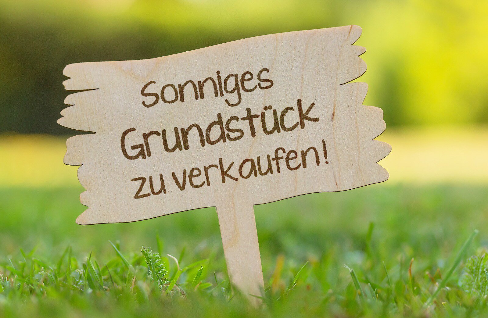 Grundstück/landwirtschaftlich genutzte Fläche in Pfaffstätten