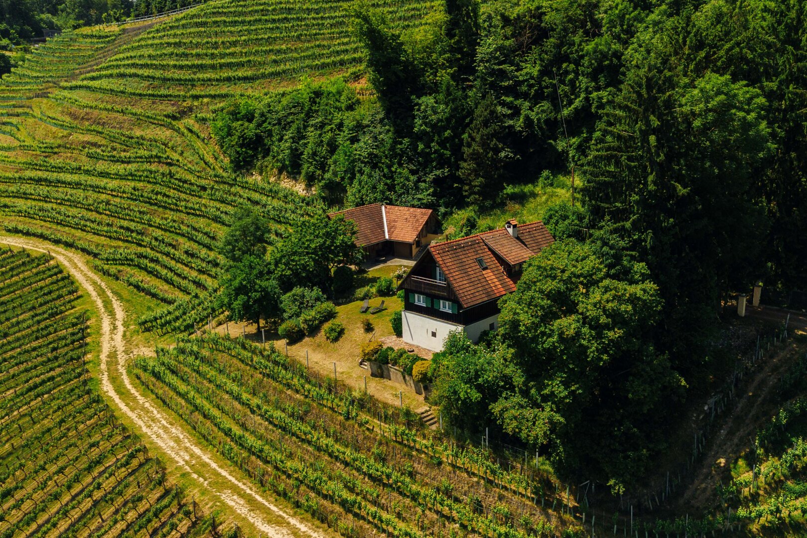 Immobilienfoto
