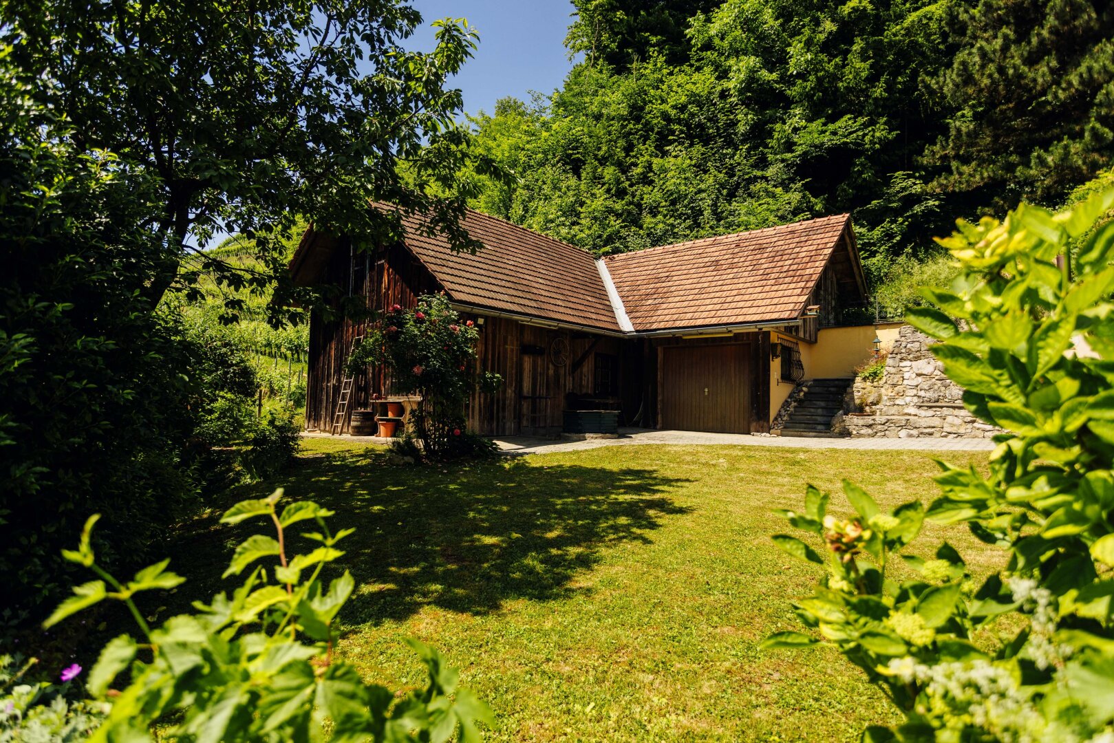 Immobilienfoto