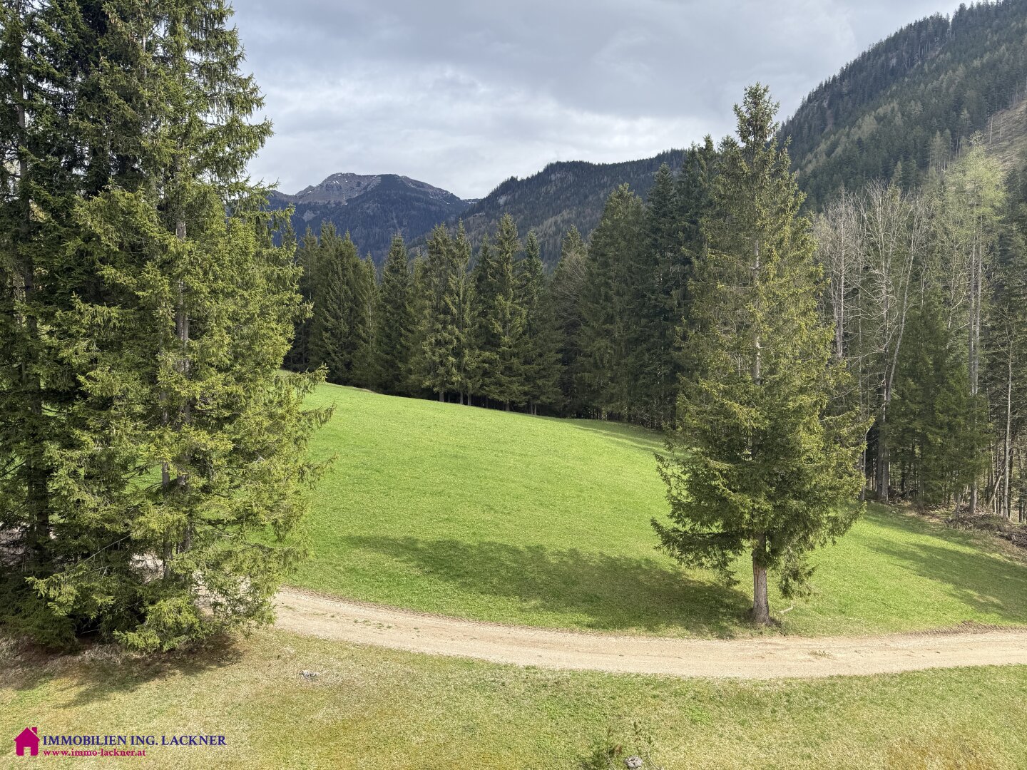 Immobilienfoto