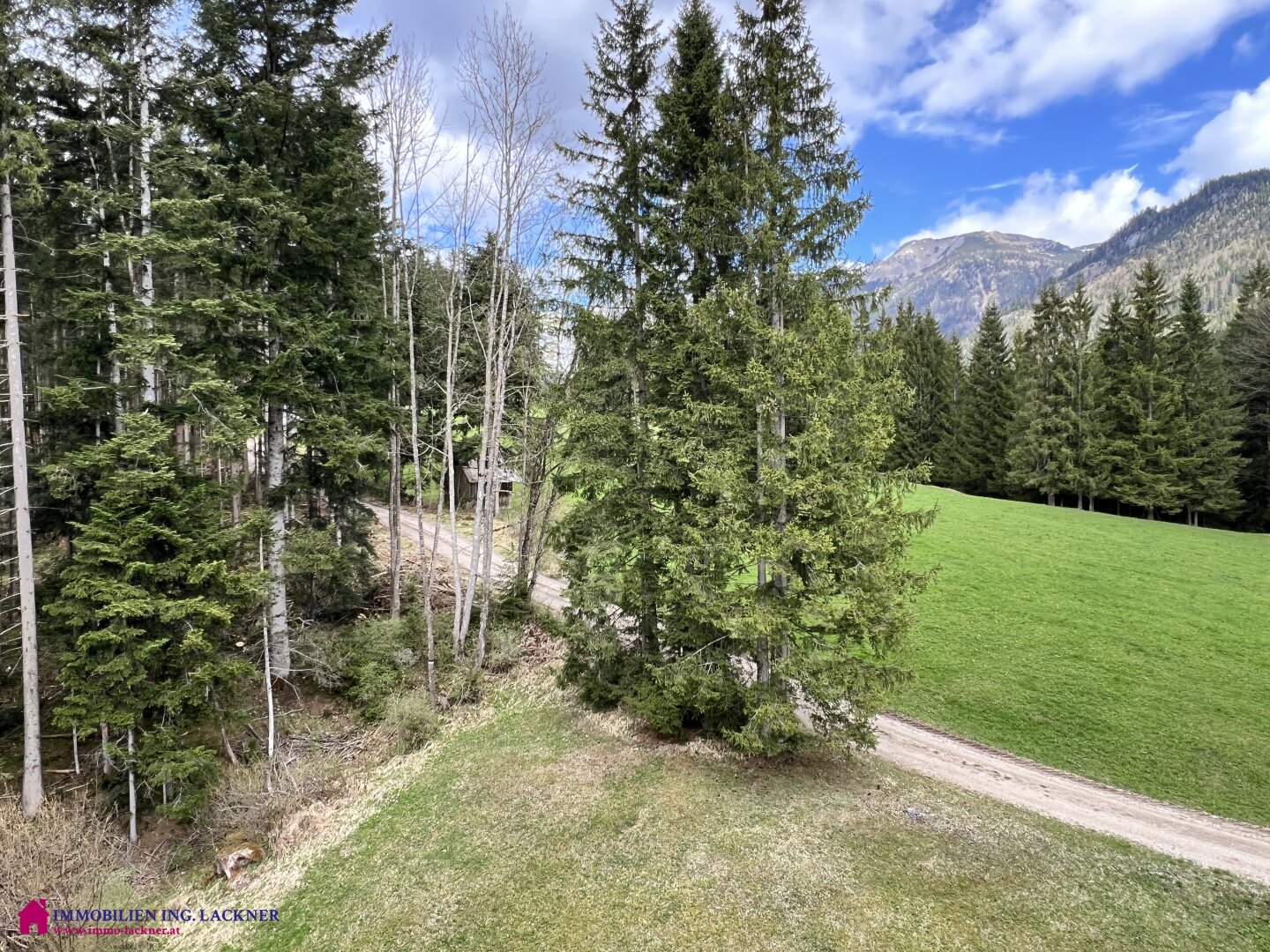 Immobilienfoto