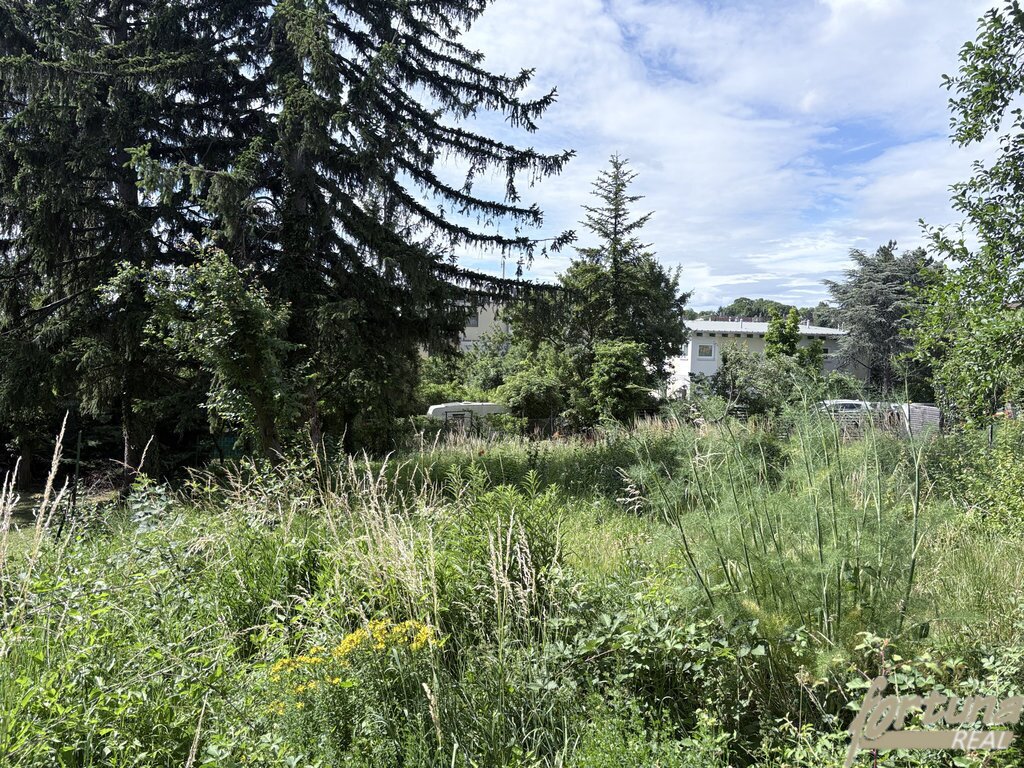 Baugrund in Grünruhelage am Wilhelminenberg