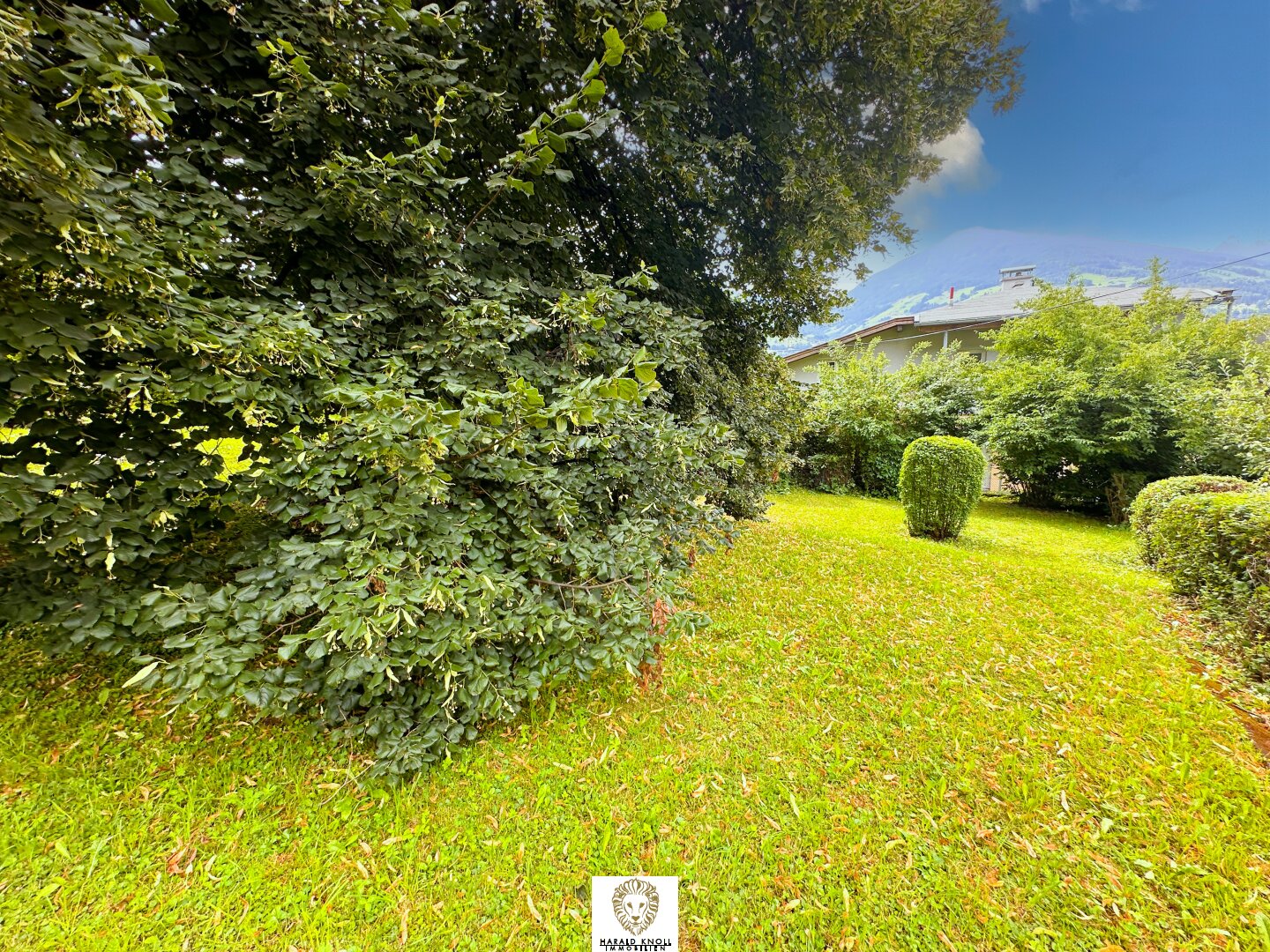 Immobilienfoto