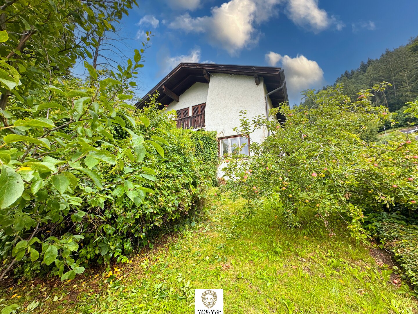 Immobilienfoto