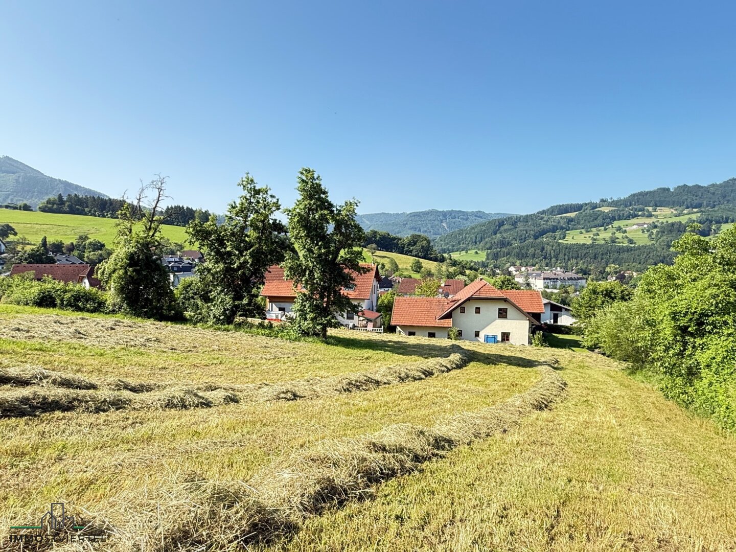 Immobilienfoto