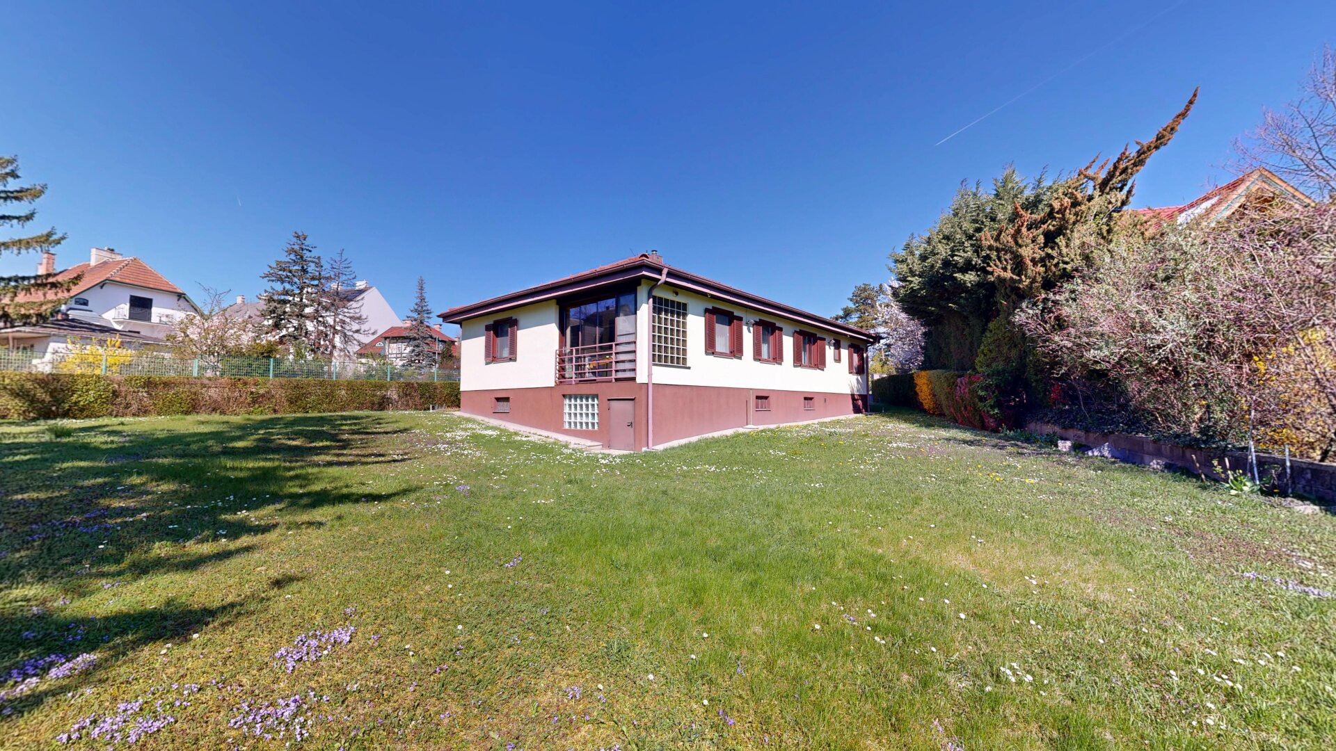 Immobilienfoto