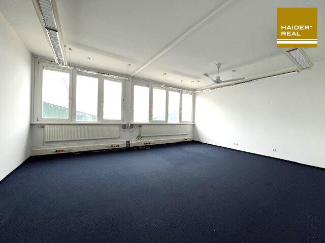 BÜROFLÄCHE optional mit Lagerhalle(n) und Freiflächen - Bruck an der Leitha zu vermieten!