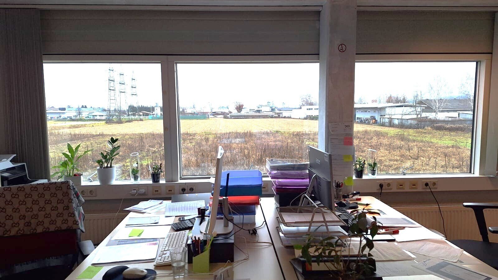 Immobilienfoto