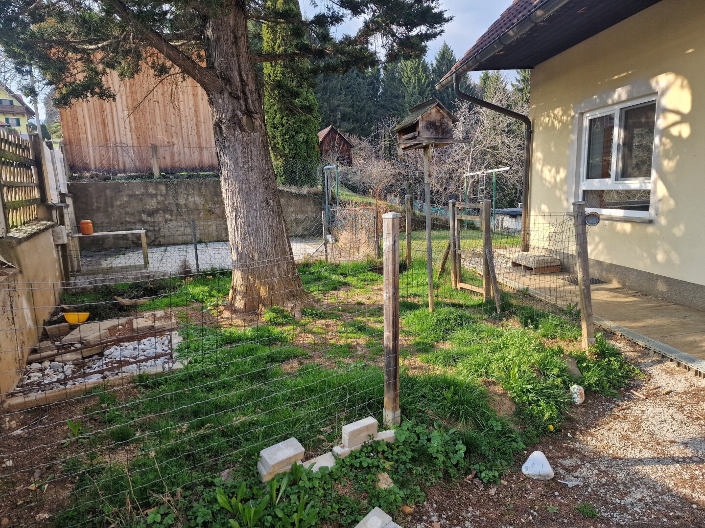 Immobilienfoto
