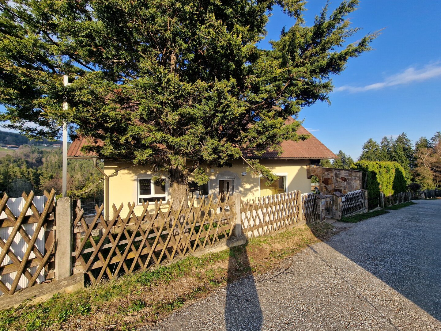 Immobilienfoto