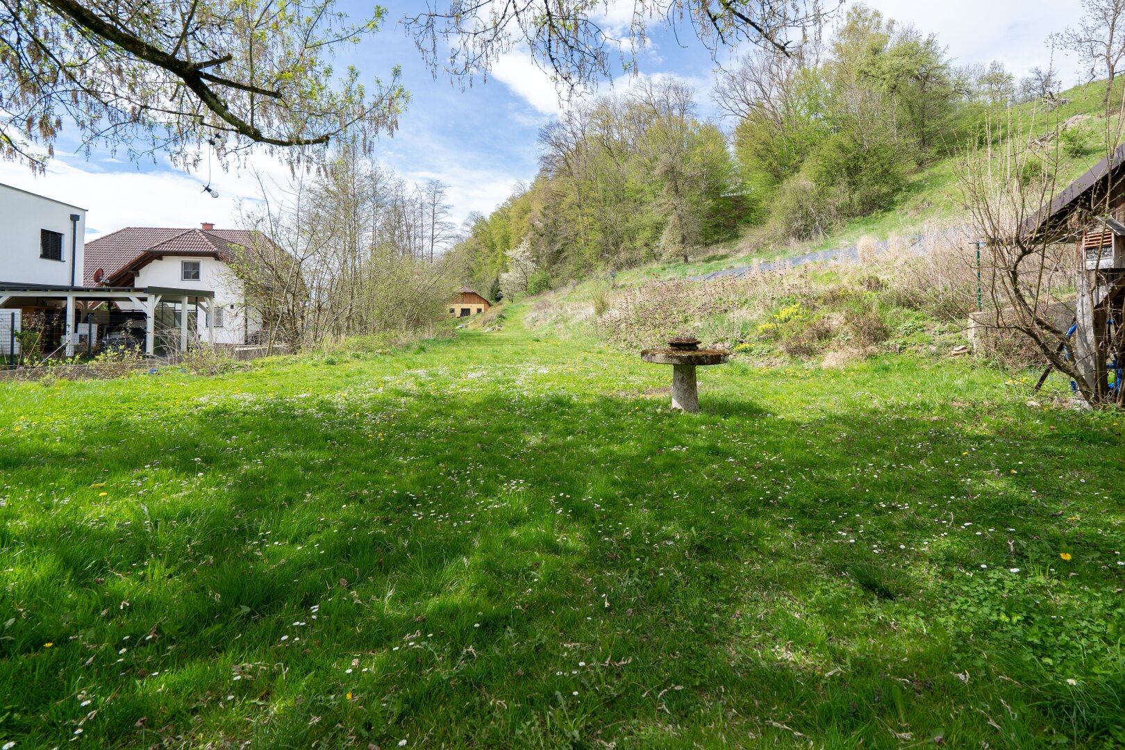 Immobilienfoto
