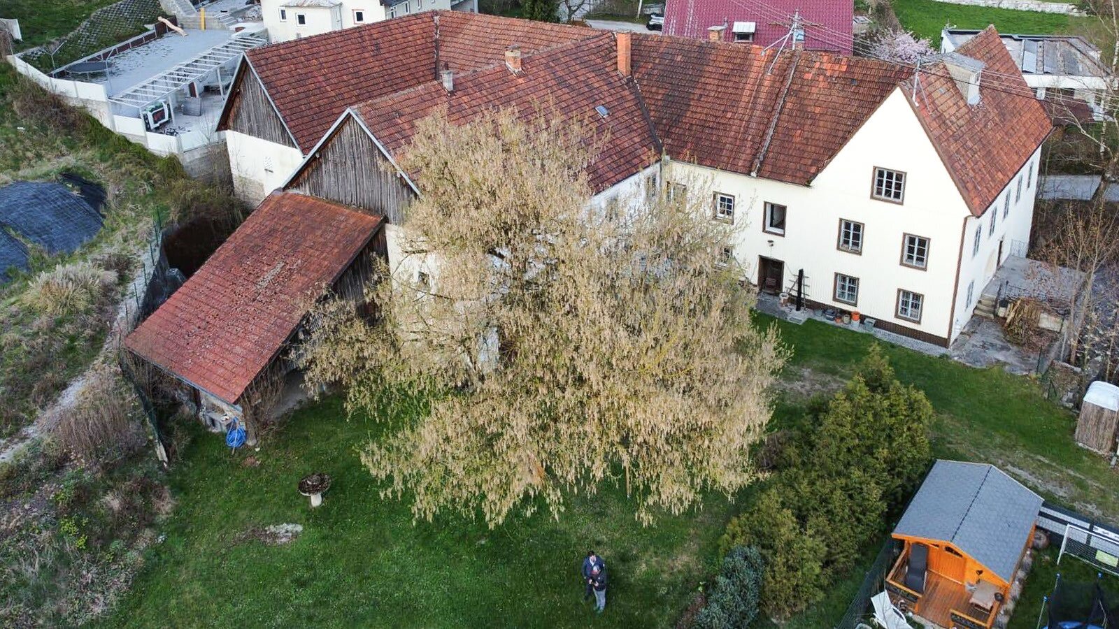 Immobilienfoto