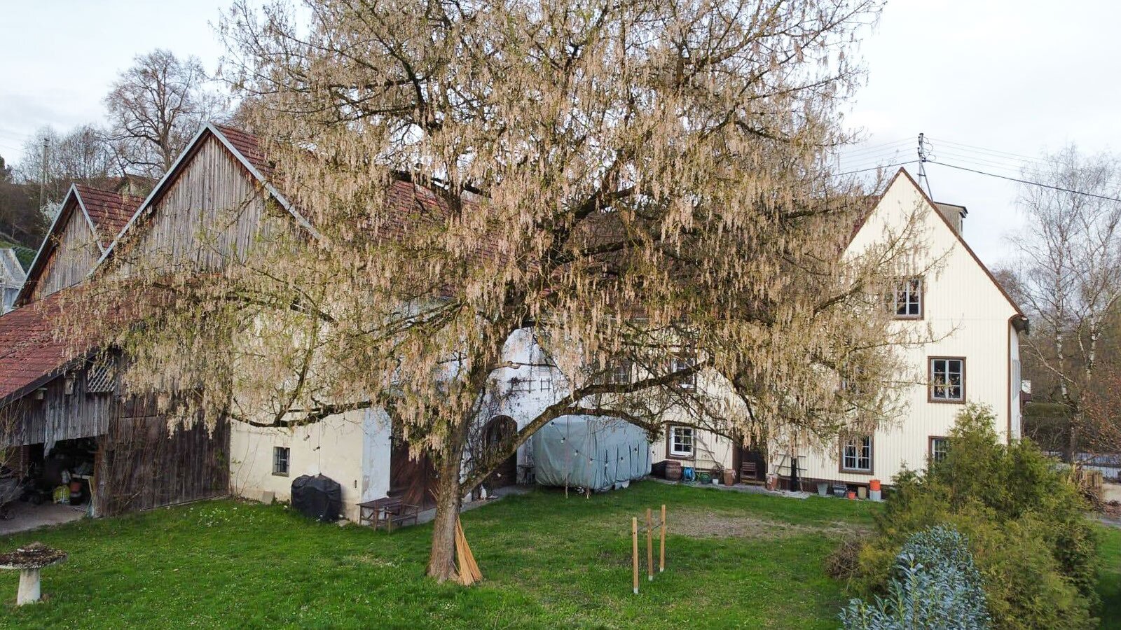 Immobilienfoto