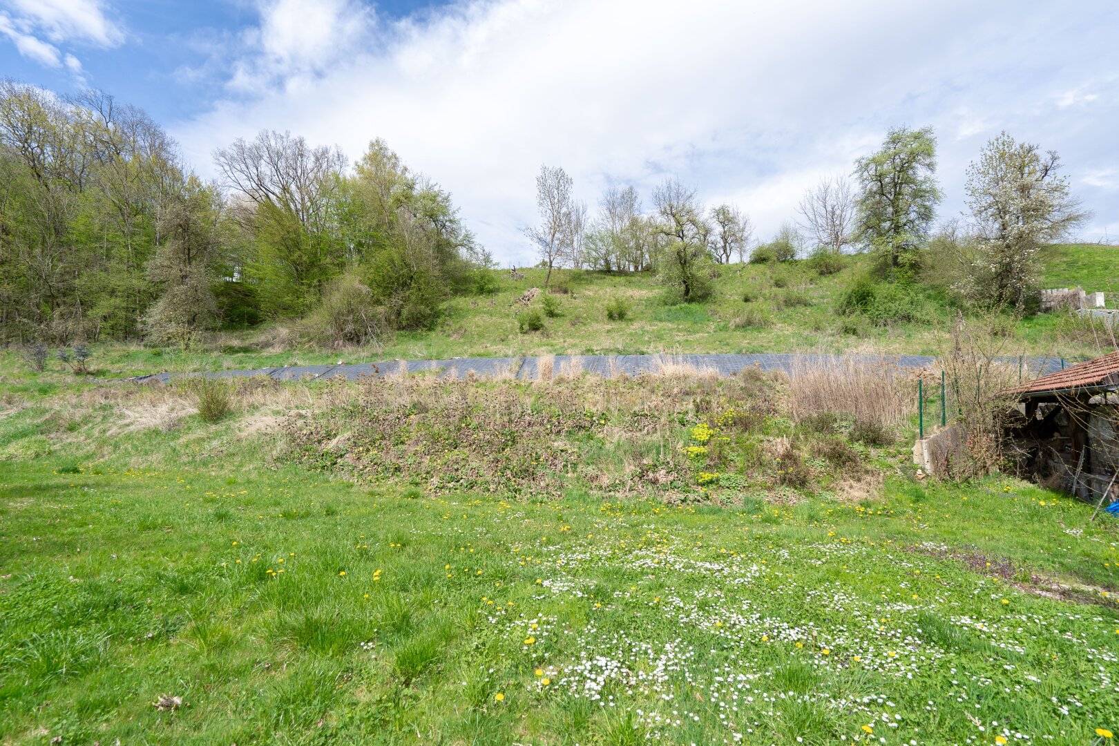 Immobilienfoto