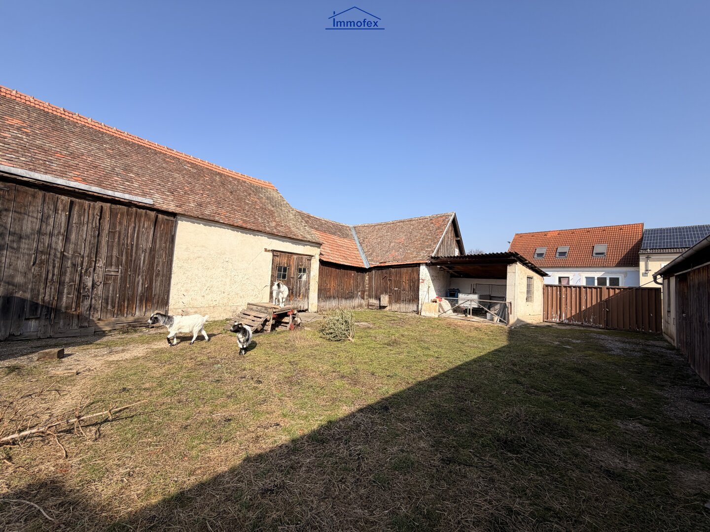 Immobilienfoto