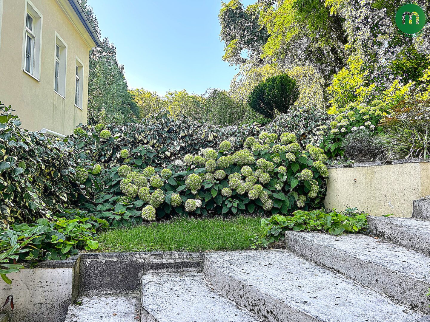 Immobilienfoto