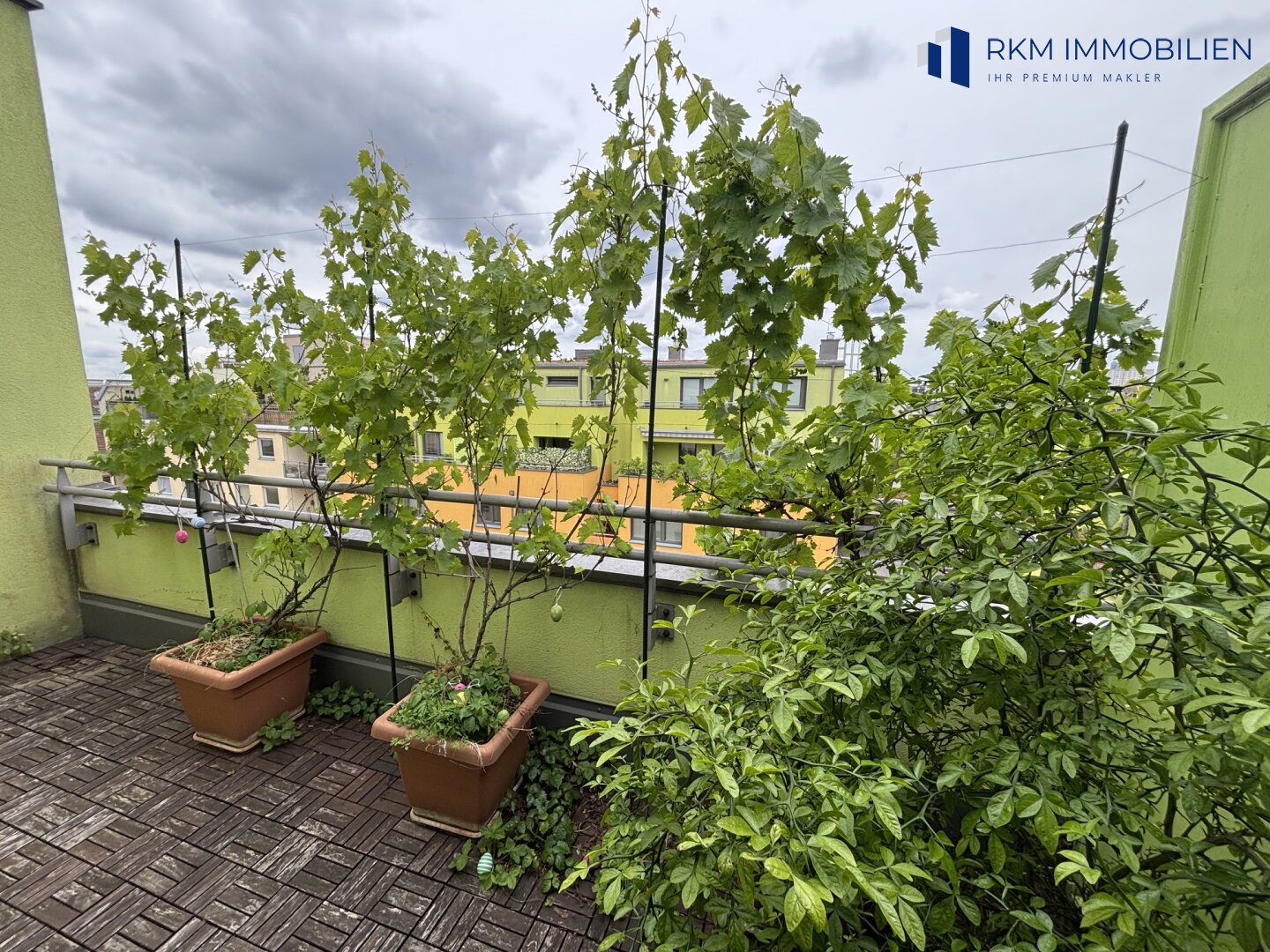 Immobilienfoto