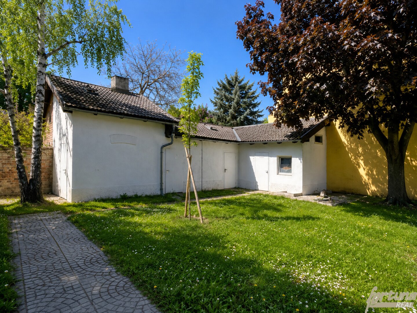 Immobilienfoto