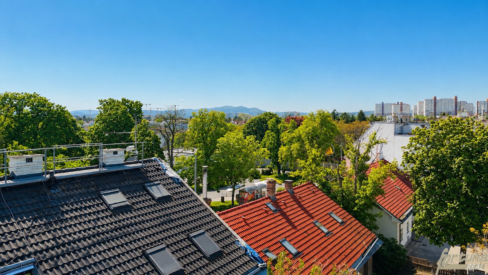 Immobilienfoto