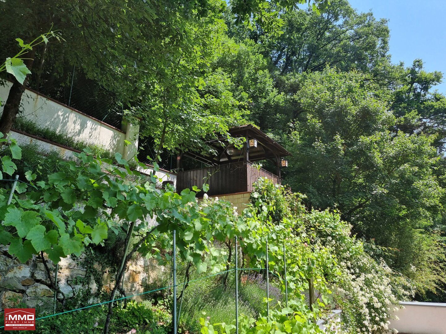 Immobilienfoto