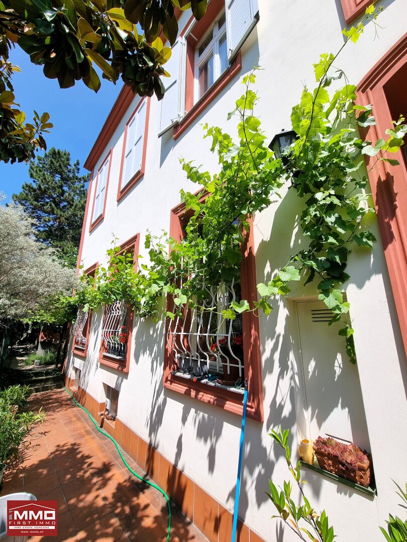 Immobilienfoto