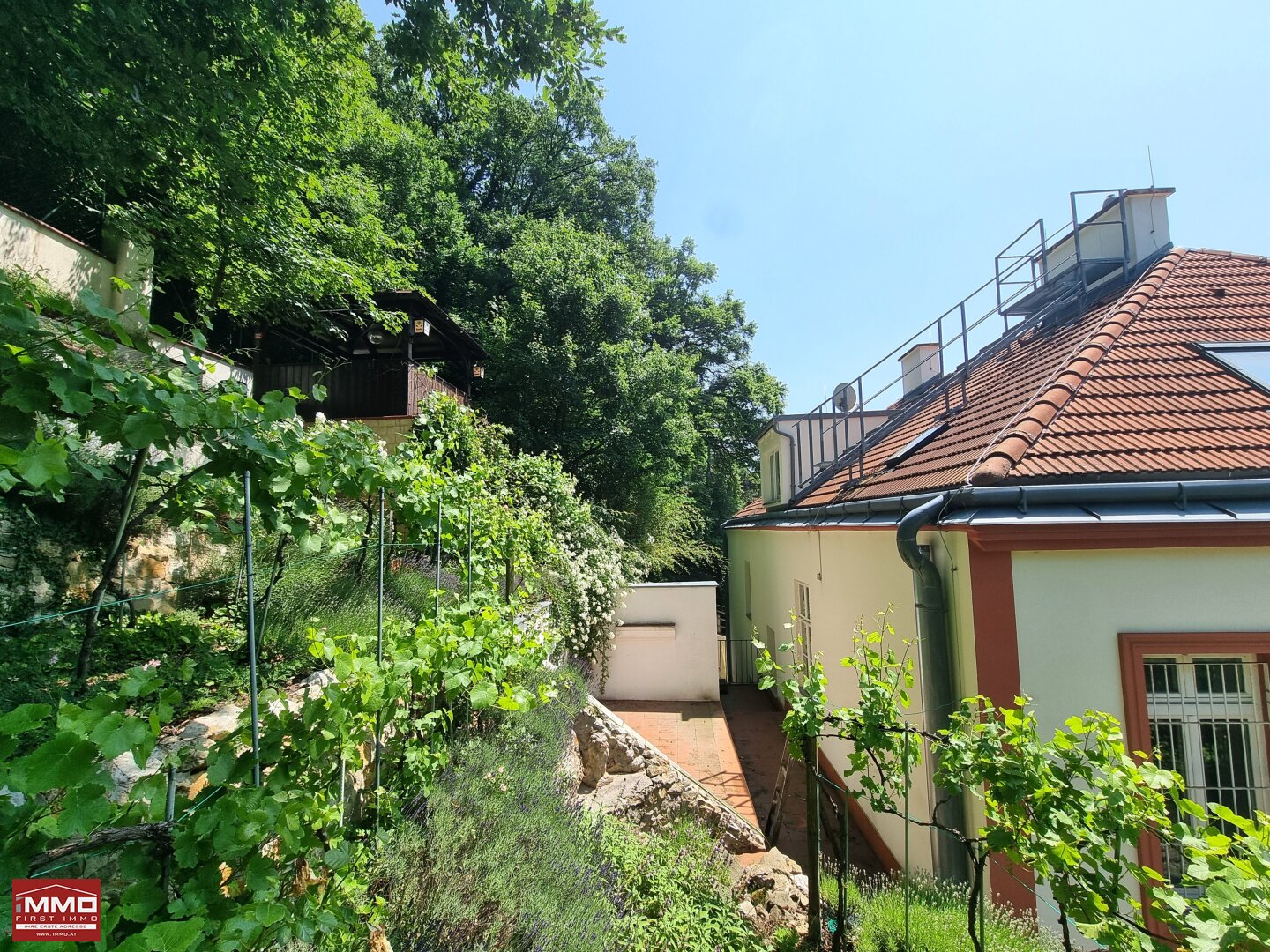 Immobilienfoto