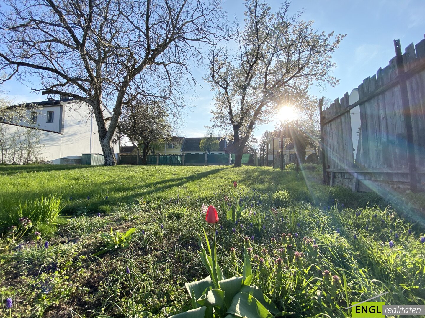 Immobilienfoto
