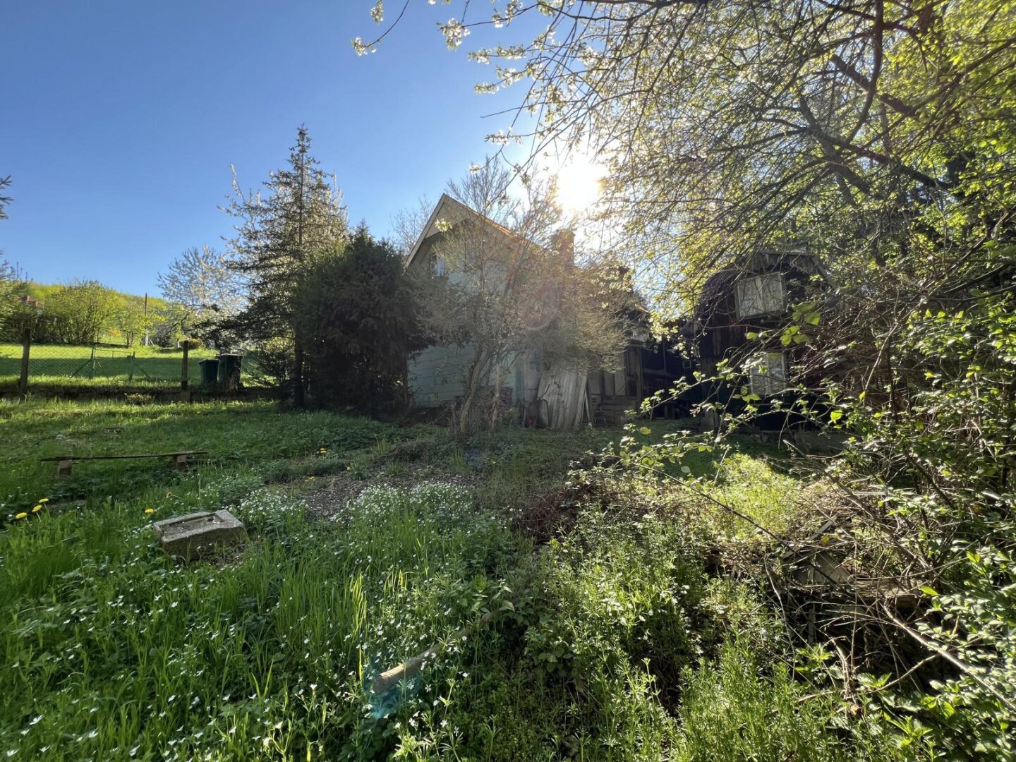 Immobilienfoto