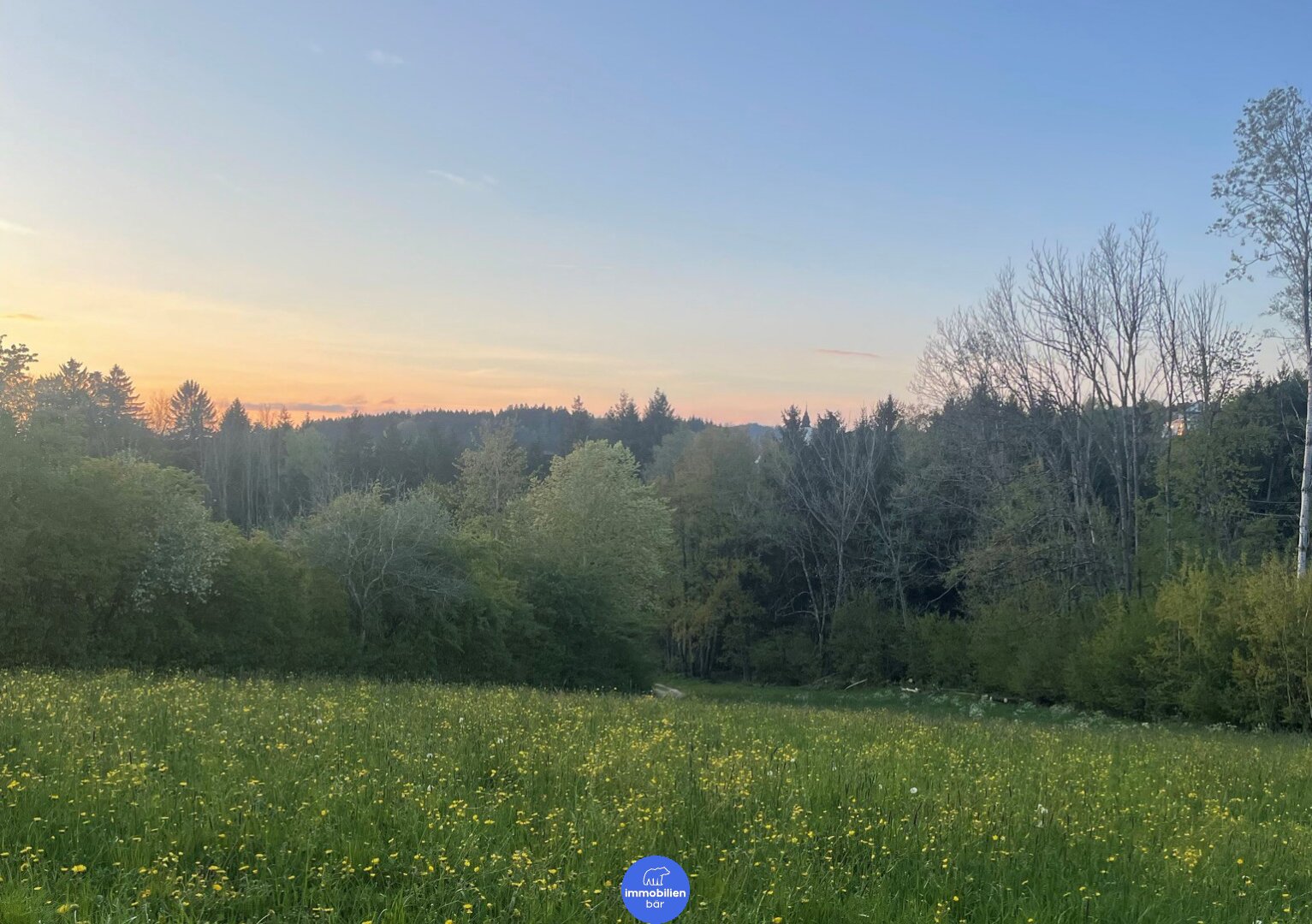 Idyllisches Grundstück in Kopfing - traumhafter Grünblick